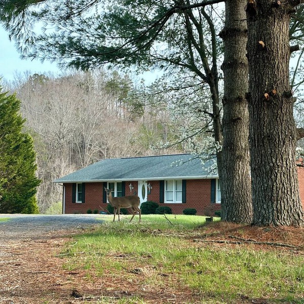 Quiet Lakeside Retreat - Dog Friendly!