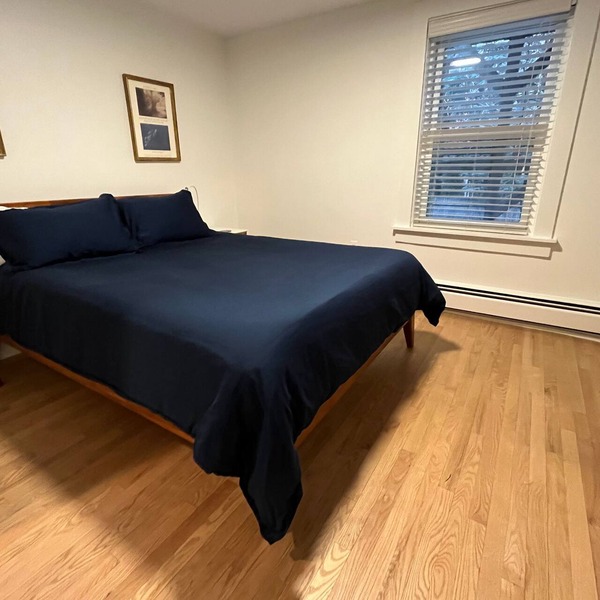 Quiet, private 1 bedroom garden apt near Harvard/MIT, sleeps 4 adults + 1 infant