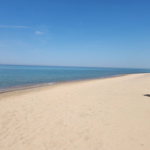 Quiet setting 15 min from Saugatuck/South Haven with easy beach access