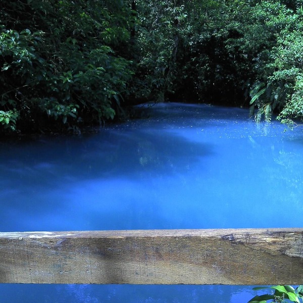 Río Celeste Katira, Private room overlooking Green Areas
