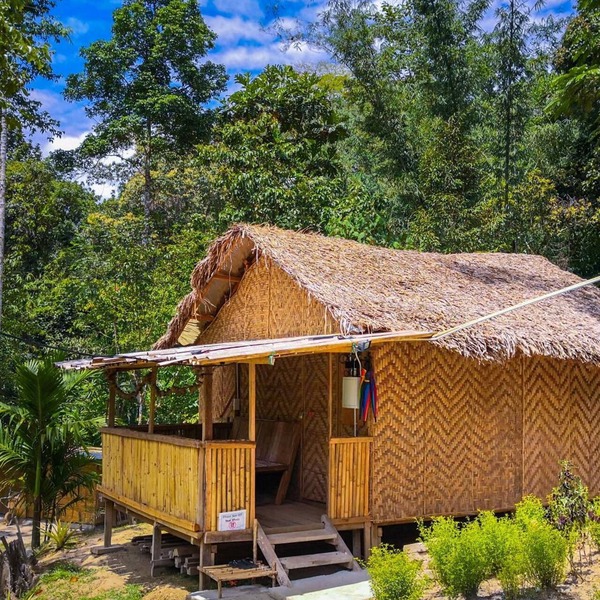 Rain Forest Inn