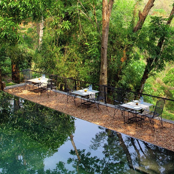 Rainforest