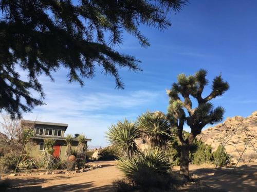 Rancho Rockotillo - Breakfast in the Boulders!