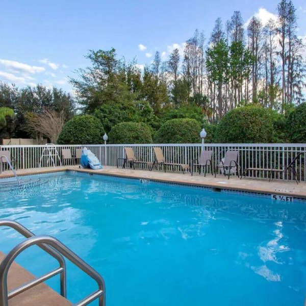Relax in Comfort Near Busch Gardens, Adventure Island & USF Campus