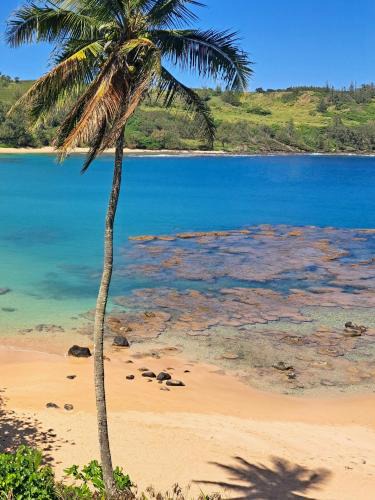 Relax Unwind Private Beachfront Escape with Stunning Views, Amazing Location