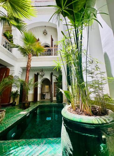 Riad Mint - Stylish Private Riad with Pool & Terrace