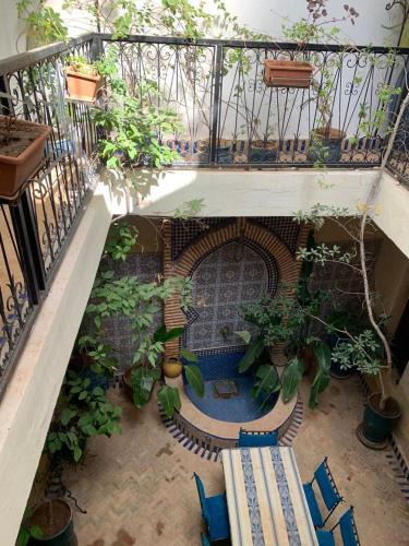 Riad Zinnha 2