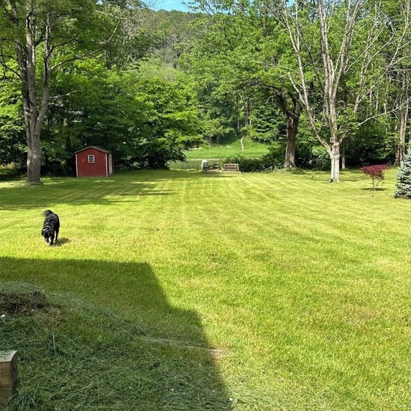 Riverfront Cabin Retreat on the Delaware, 5 mins from Narrowsburg, 2hrs from NYC