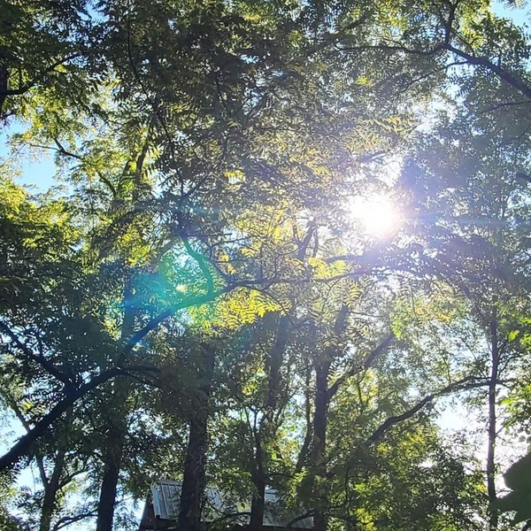 Riverfront Treehouse Camp