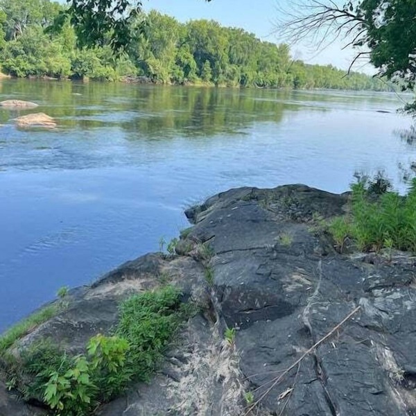 Riverview Cabin on the James