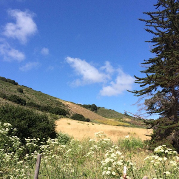 Romantic Couples Cottage, Artist-Writers Retreat in Carmel Valley Wine Country