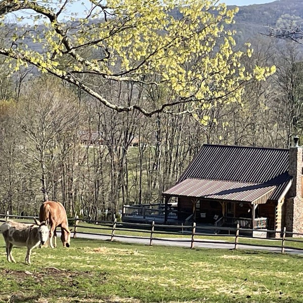 Romantic "Morning Glory” for 2 has a tranquil setting across from a horse farm!
