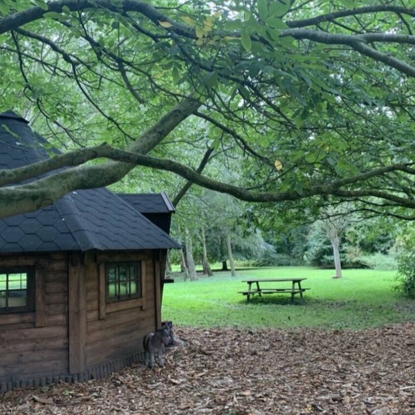 Romantic Pixie Hut with Private Woodland