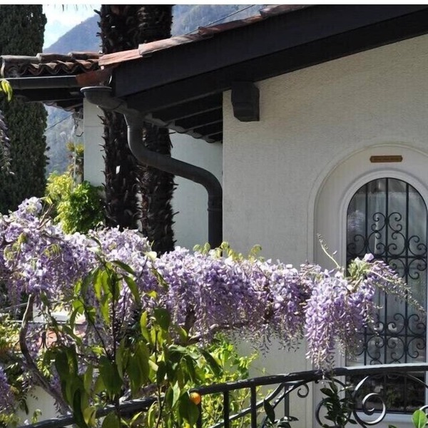 Romantic Studio with magnificent View of Lago Maggiore & Alps