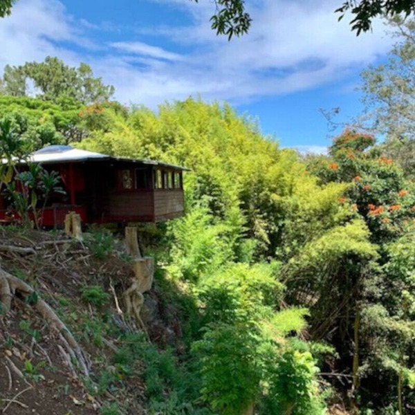 Romantic waterfall cabin in the rain forest