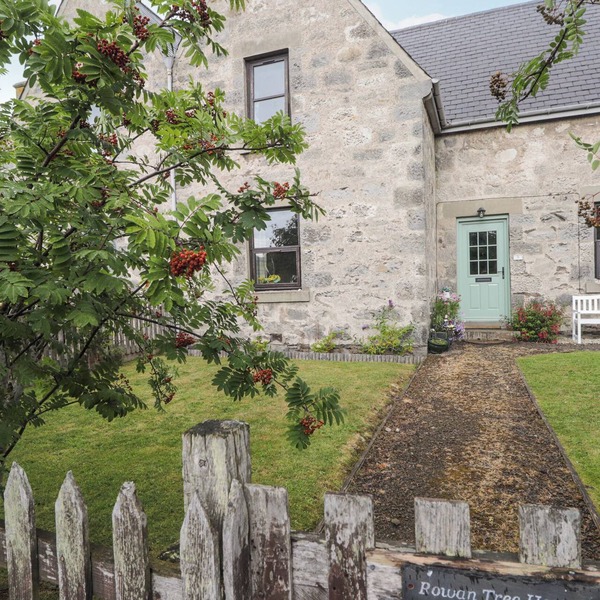 Rowan Tree House