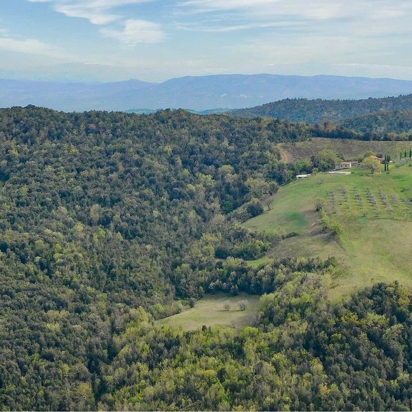 Rustic accommodation in nature for four people with pet in the middle of Tuscany.