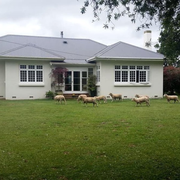 Rustic Farm Accommodation Surrounded by Gorgeous Countryside Views near Lake Karapiro, North Island