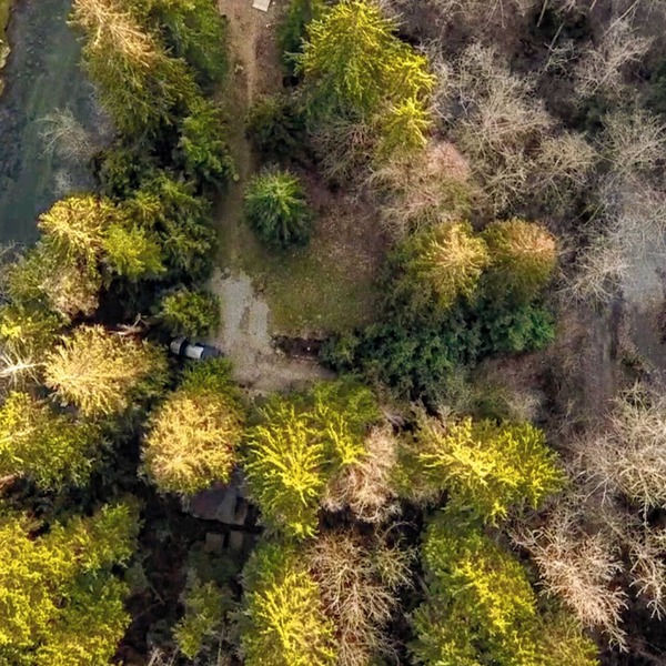 Rustic Old Cabin on the Alouette River