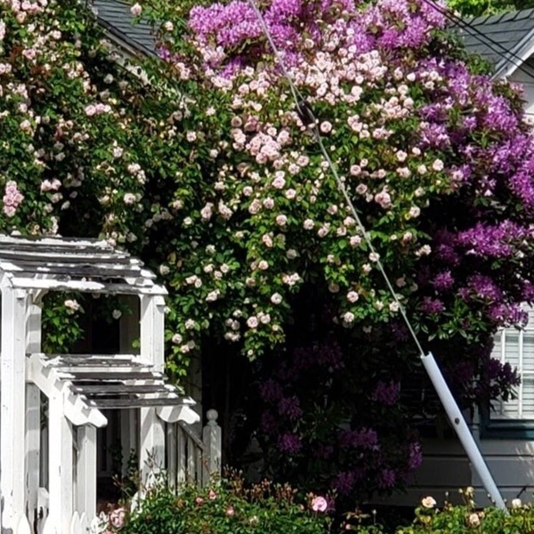 San Francisco Suburb French farmhouse - great location