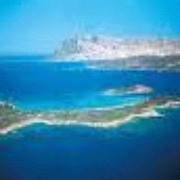 San Teodoro: Studio - San teodoro
