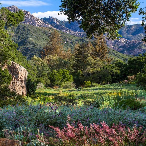 Santa Barbara Botanical Cabin