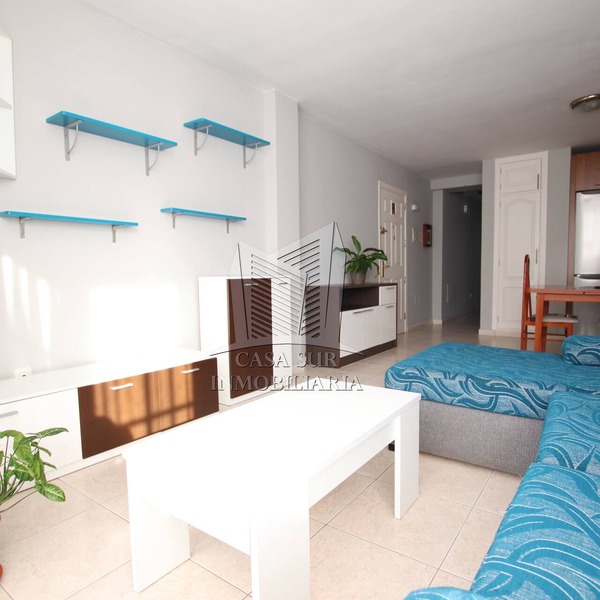 Sapacious Apartment in South Tenerife. Check in 24 hours.
