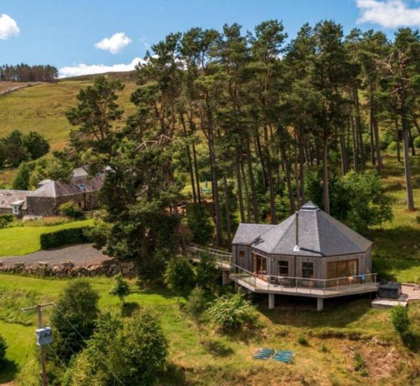Scots Pine Treehouse