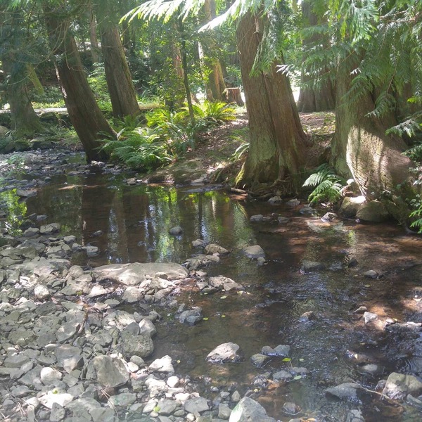 Scott Creek Farm