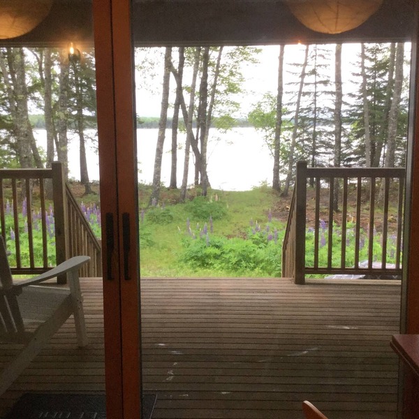 Seal Point Waterfront Cottage