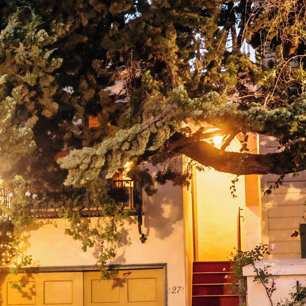 Secluded Courtyard Studio with Kitchen & Private Entrance