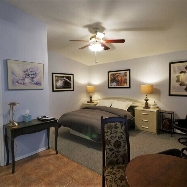 Secluded, Sunny Studio. Fully Private: entrance, bath, bedroom, kitchen & Patio