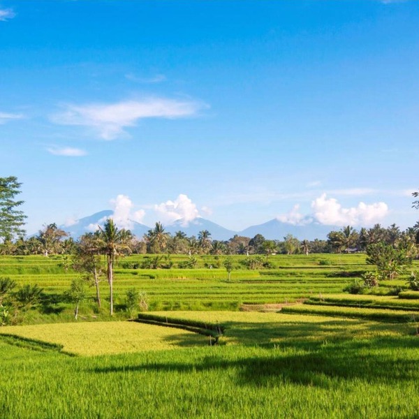 Serene accommodation in Ubud Riverside, Feel the Ambience