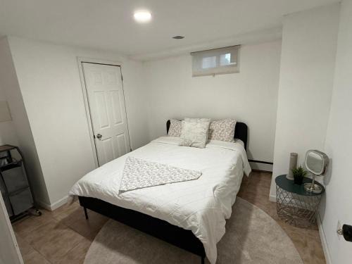 Serene Comfortable Studio Near UBS Arena and JFK