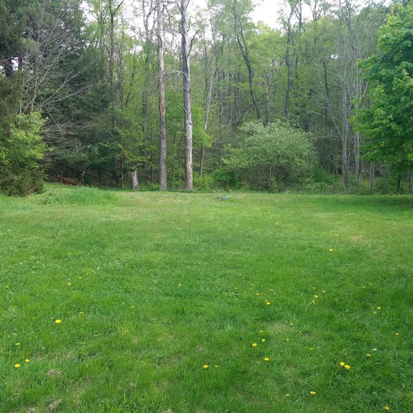 Serene Creek Frontage