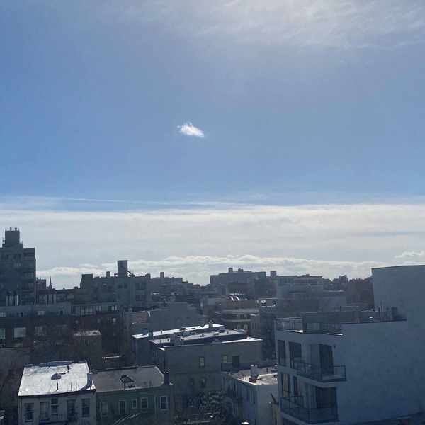 Shared Coastal Designed 2-bedroom apartment with AC, WiFi in Vibrant Brooklyn
