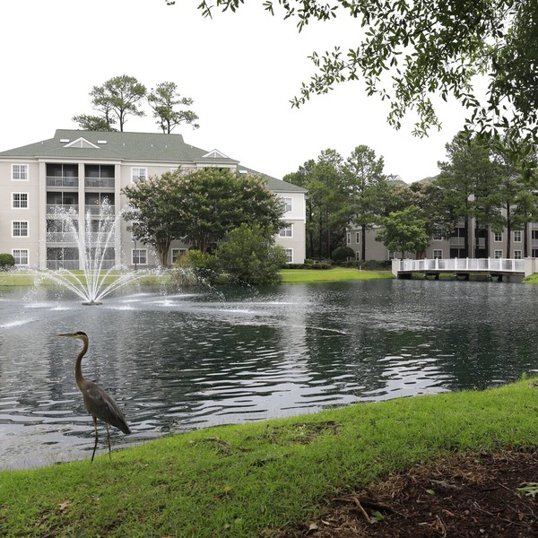 Sheraton Broadway Resort Villas, 2bd/2ba condo, extra large