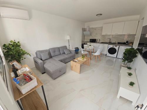 Shiamis Modern House