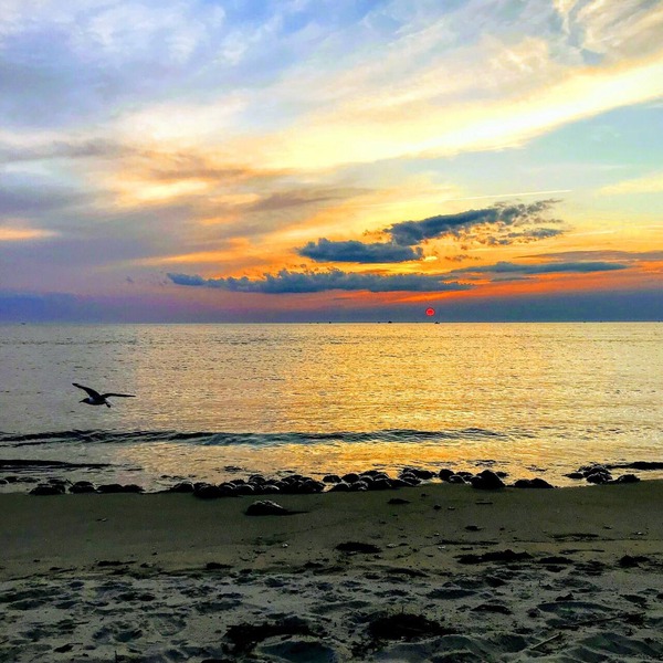 Shore to Please. Big family, pet friendly beach house.