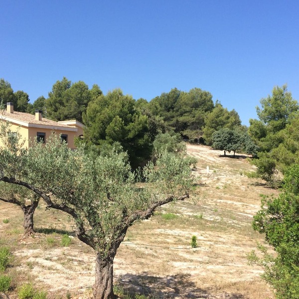 Sierra de Enguera -Superb villa with pool in an exceptional environment