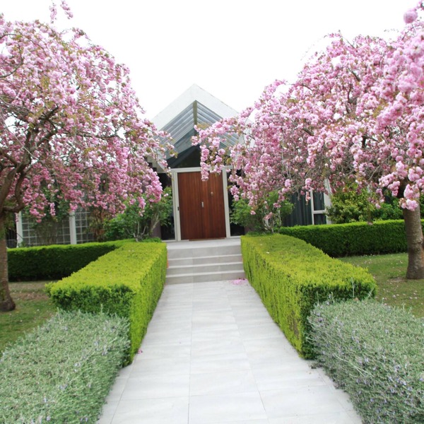Silverstream Alpaca Farmstay and Tour