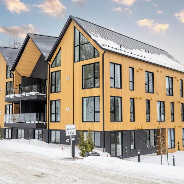 Ski-in/Ski-out Your Dream Mountain Getaway Luxury Awaits and even more!