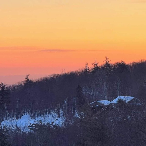 Ski Loft 10 Min to Windham 5-State View + Pet Friendly!