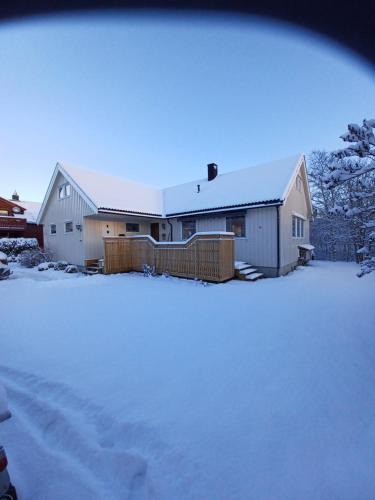 Ski WM Trondheim