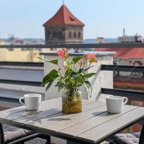 Skyline 3BR Rooftop Terrace Apartment in Center