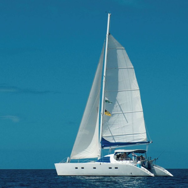 Sleep Under the Stars on a Sailing Catamaran near Amsterdam