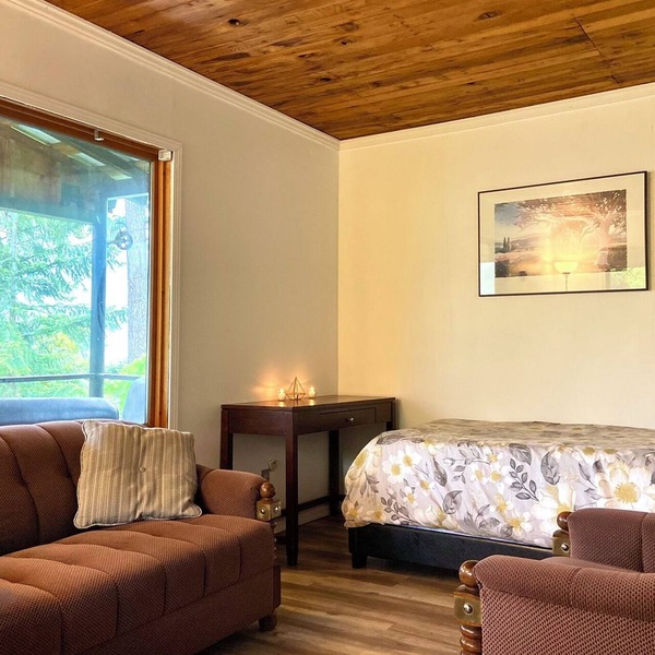 Small Cabin with gorgeous view and lake access