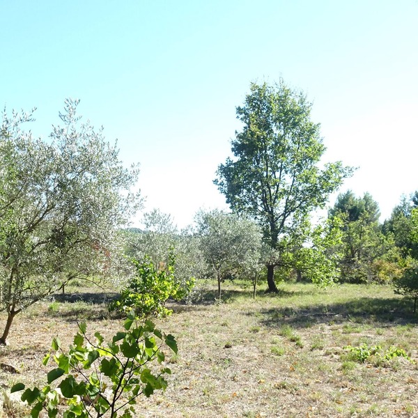 Small Provencal mazet with private pool. Ideal for nature lovers.