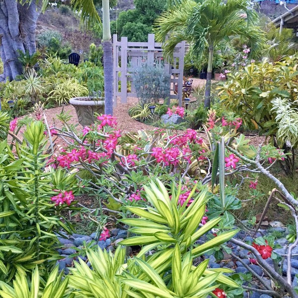 Solar Power! Easy Access, Great Location, Garden Setting, Walk to Coral Bay