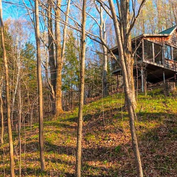 Solar-Powered Tree House in the Canadian Woods near Toronto, Ontario